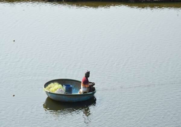 கோடை வெயிலின் தாக்கம்....தண்ணீர் வரத்து குறைந்ததால் ஆற்றில் மீன் பிடி தொழில் சுனக்கம்.இடம்: பவானி ஆறு .சிறுமுகை அருகே உள்ள மூலையூர்