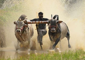 ஓணம் பண்டிகையையொட்டி பாலக்காடு மாவட்டம் குழல்மன்னம் பகுதியில் நடந்த ...