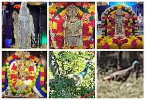  The famous Texas Murugan Temple