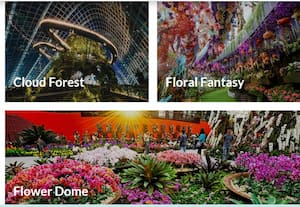  Garden of Wonder