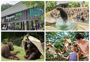  Singapore Zoo