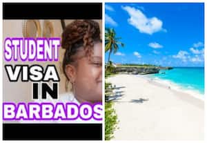  Barbados Student Visa Modalities 