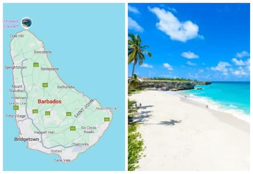  Universities in Barbados