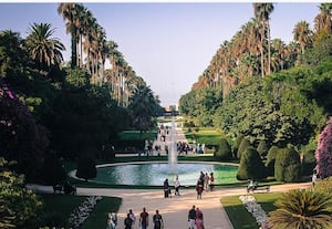  The Botanical Garden Hamma, Algeria