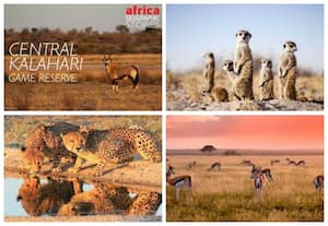  Central Kalahari Game Reserve, Botswana