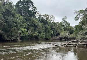 Dja Faunal Reserve, Cameroon