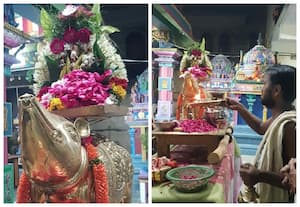மூஷிக வாகனத்தில் விநாயகப் பெருமான் வீதியுலா காட்சி
