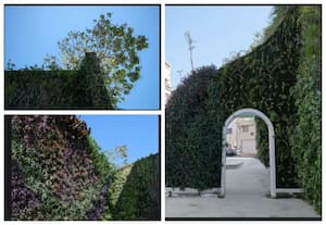 செங்குத்து தோட்டம், பஹ்ரைன்