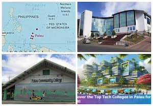 பாலாவிலுள்ள பல்கலைக்கழகங்கள்