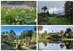 ராயல் தாவரவியல் பூங்கா விக்டோரியா