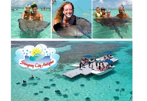 ஸ்டிங்ரே & ஸ்நோர்கெல் சுற்றுலா, ஆன்டிகுவா