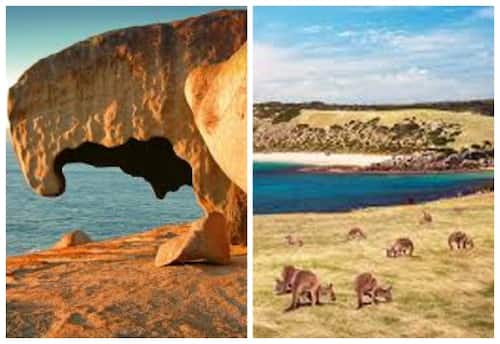 கங்காரு தீவு, ஆஸ்திரேலியா