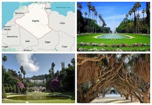 ஹம்மா தாவரவியல் பூங்கா, அல்ஜீரியா