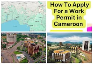 காமரூனில வேலைவாய்ப்புகள்