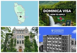 டொமினிகா மாணவர் விசா பெறும் நடைமுறை
