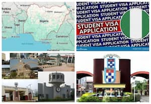 நைஜீரியாவில் உள்ள பல்கலைக்கழகங்கள் 