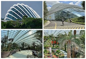 ஃப்ளவர் டோம், சிங்கப்பூர்