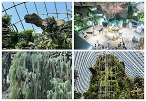 மேகக் காடு, சிங்கப்பூர்