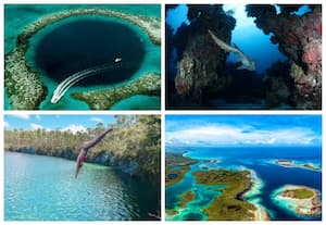 பஹாமாஸின் ஆண்ட்ரோஸ் தீவு