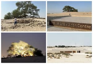 வாழ்க்கை மரம், பஹ்ரைன்