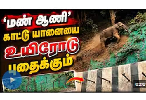 வாசகர்களே! சுவையான அனுபவங்களைப் பகிருங்கள்