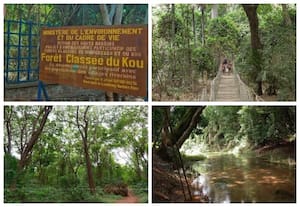 ஃபொரே கிளாசே டு கூ, புர்கினா பாசோ