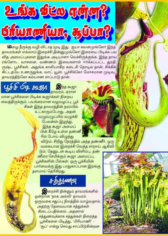 Latest Tamil News