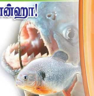 Latest Tamil News
