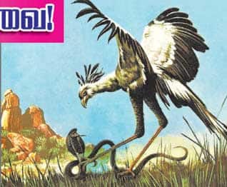 Latest Tamil News