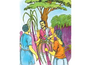 Latest Tamil News