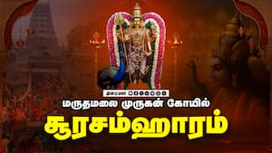 மருதமலை முருகன் கோயில் img