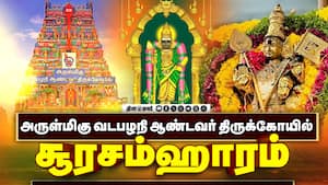 அருள்மிகு வடபழநி ஆண்டவர் திருக்கோயில் img