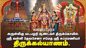 அருள்மிகு வடபழநி ஆண்டவர் திருக்கோயில், ஸ்ரீ வள்ளி தேவசேனா சமேத ஸ்ரீ சுப்ரமணியர் img