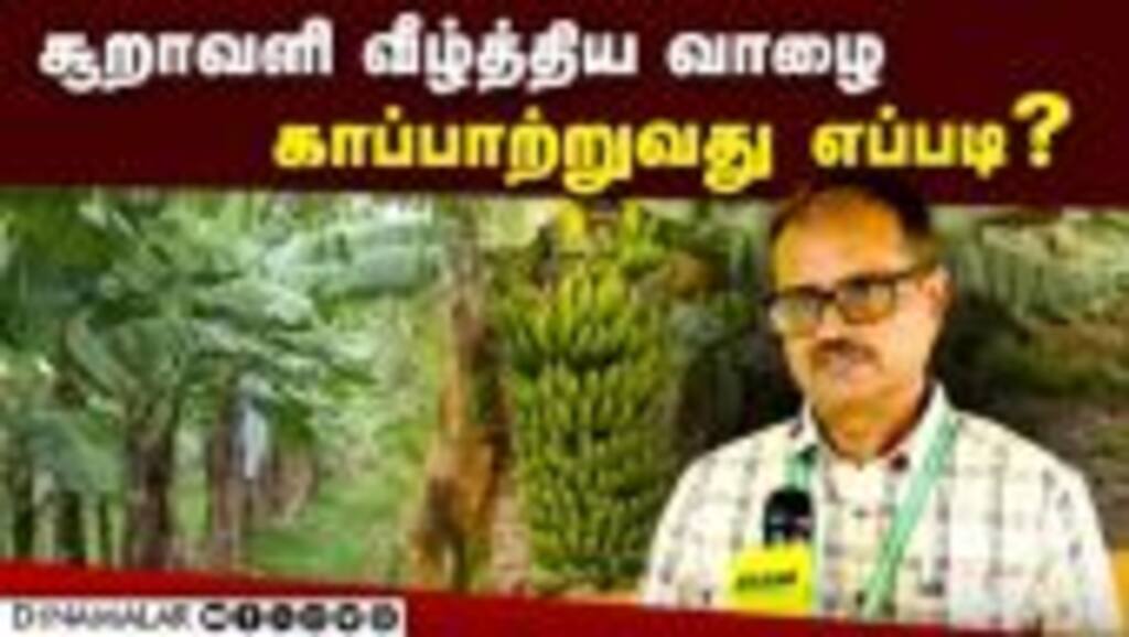 வேளாண் விஞ்ஞானி சொல்லும் ஐடியா  Banana crops tips| plantain researcher tips