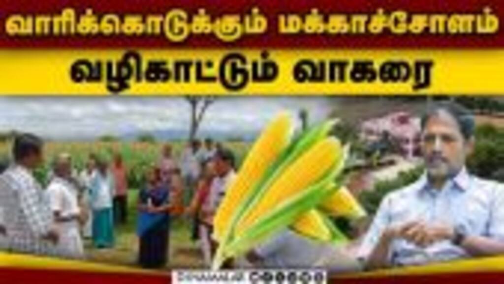 24 ஏக்கரில் மக்காச்சோளம் ஆராய்ச்சி நிலையம் Drone காட்சிகள் | EXCLUSIVE STORY - Episode 1