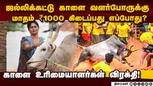 திமுக தேர்தல் அறிக்கையை சுட்டிக்காட்டி காளை வளர்ப்போர் கேள்வி! Jallikattu  