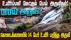 கொடைக்கானலில் 14 பேர் உயிர் பறித்த பேய் அருவிகள்  