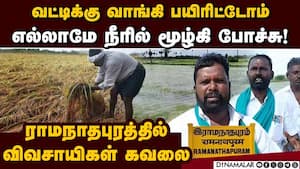 ஆயிரக்கணக்கான ஏக்கரில் நெல், மிளகாய் பயிர்கள் மழையில் சேதம்  
