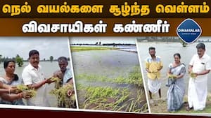 மாவட்ட செய்திகள்  