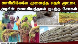 எல்லாமே போச்சே: கையில் நெற்பயிருடன் கதறி அழும் மூதாட்டி  