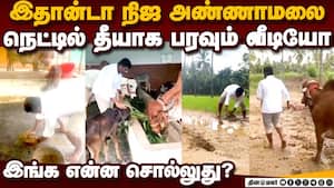 என்ன செய்றார் அண்ணாமலை  பரபரப்பை கிளப்பும் வீடியோ  Annamalai bjp former president agricultural land