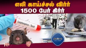 மாவட்ட செய்திகள் மாலை 4 மணி