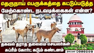 தெருநாய்களை கட்டுப்படுத்தும் வழக்கு: தலைமை செயலாளர்களுக்கு சுப்ரீம் கோர்ட் உத்தரவு | Supreme Court img