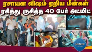 மாவட்ட செய்திகள் மாலை 4 மணி | 31-10-2025 img