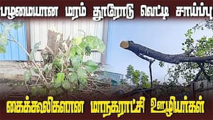 சுப்ரீம் கோர்ட் உத்தரவை காற்றில் பறக்க விடும் சென்னை மாநகராட்சி  