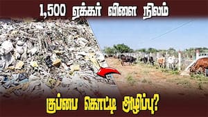 திருப்பூர் மாநகராட்சியை கண்டித்து விவசாயிகள் கால்நடைகளுடன் ‛போர்'