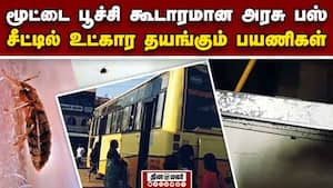 அரசு பஸ்சில் பூச்சிகள் இலவச பயணம்: பயணிகள் அவதி