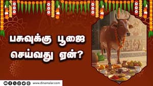 பசுவுக்கு பூஜை செய்வது ஏன்?  