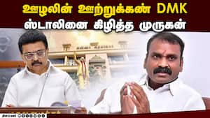 மாவட்ட செய்திகள் | 03-11-2025 img