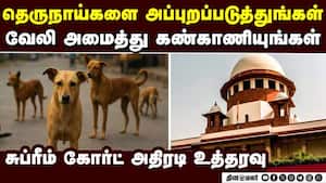 தெருநாய் பெருக்கத்தை தடுக்கவும், பிரச்னைக்கு தீர்வு காணவும் மாநில அரசுகளுக்கு சுப்ரீம்கோர்ட் உத்தரவ img
